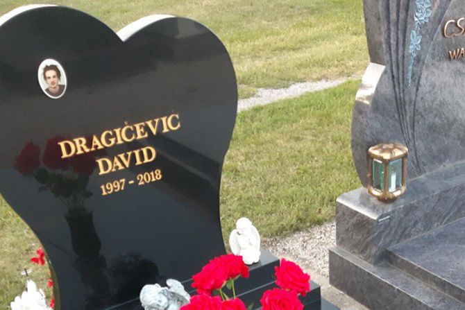 David Dragicevic, spomenik