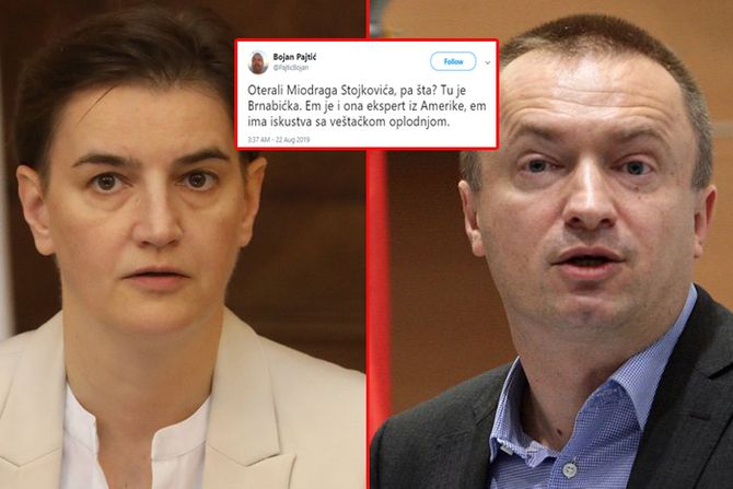 Ana Brnabić, Bojan Pajtić