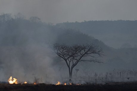 Požari, Brazil Amazon Fires