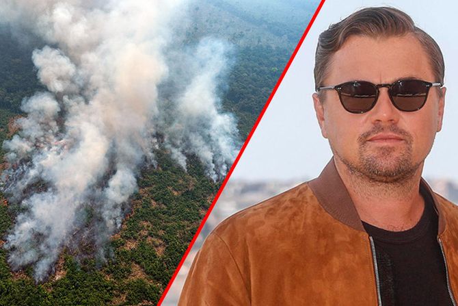 Leonardo DiCaprio Amazon pozar