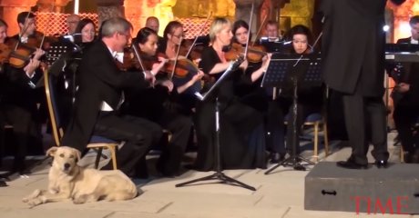 Pas, bečki orkestar
