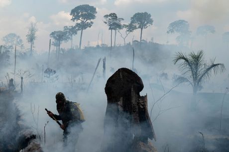 Amazonija požari