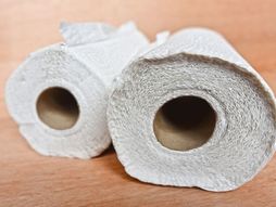 papirni-brus-foto-pixaby