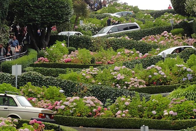 Lombard Street,  San Francisco,