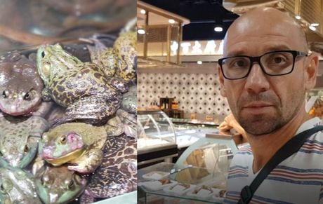 Žabe u Supermarketu u Kini