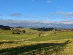 Njiva, zemlja, zemljoradnja, oranica
