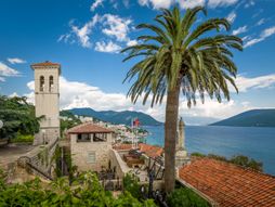 Herceg Novi, trg, panorama grada centar, palma palme
