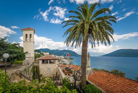 Herceg Novi, trg, panorama grada centar, palma palme