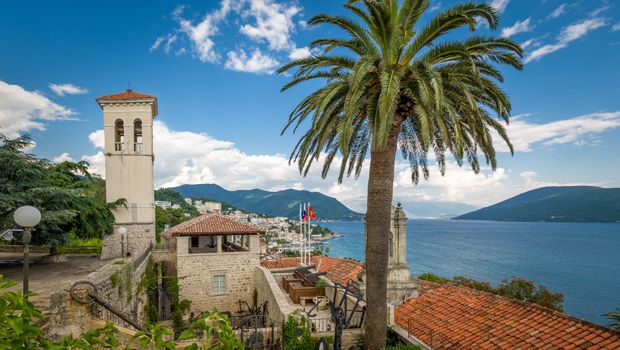 Herceg Novi, trg, panorama grada centar, palma palme