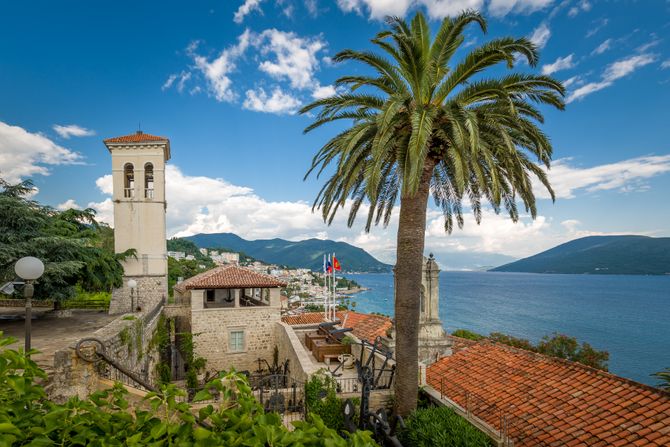 Herceg Novi, trg, panorama grada centar, palma palme