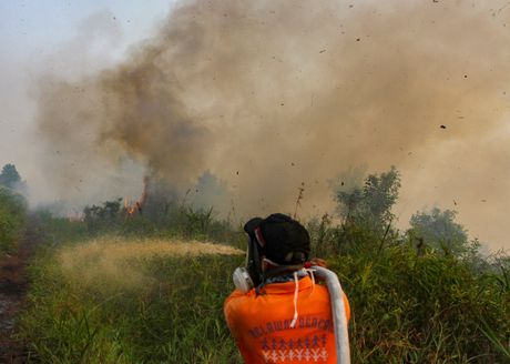 Indonezija šumski požar