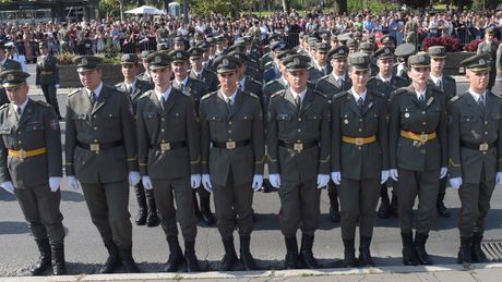 Vojska Srbije, Narodna skupština Vojska Srbije, Narodna skupština