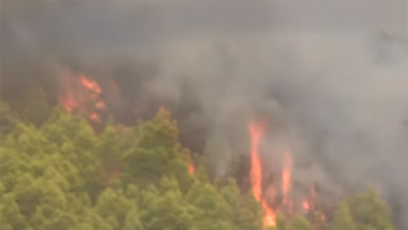 Veliki požar u Grčkoj, ogroman broj vatrogasaca na terenu!