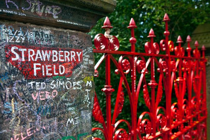 Strawberry Fields