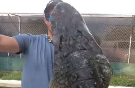 Aligator napad Florida