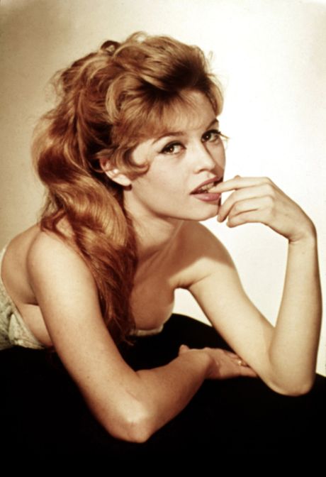 Brigitte Bardot Brigitte Bardot