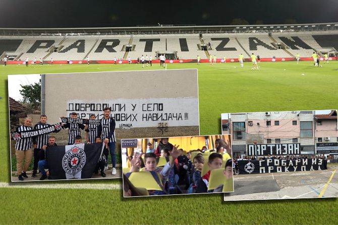 Partizan, navijaci