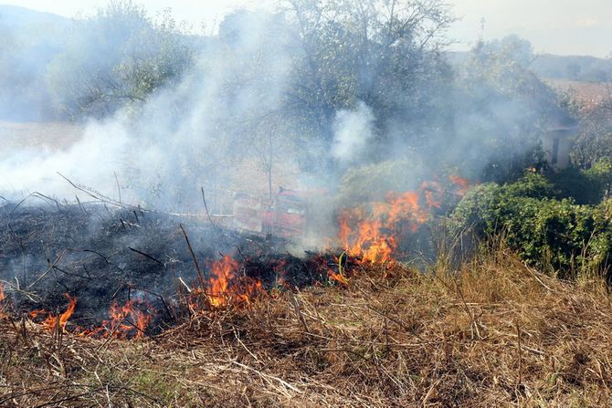 Ćuprija, gori nisko rastinje i sasusena trava