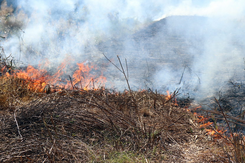Dolini Neretve preti katastrofa, vatra guta sve pred sobom: Gori zaštićeni rezervat, slike su strašne