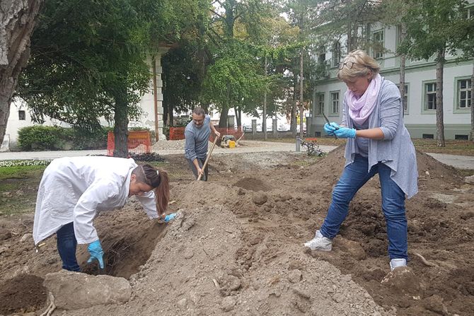 Gradska basta Zrenjanin, predmeti iz neolita