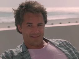 Don Džonson, Miami Vice, Poroci Majamija