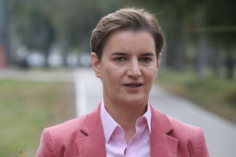 Ana Brnabić, fabrika Modin