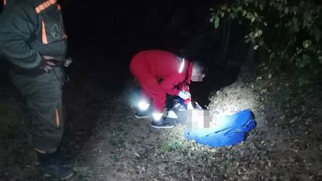 prevrnut traktor, pinosava