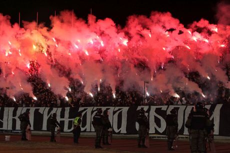 FK Partizan, Grobari