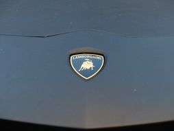 Lamborghini Logo