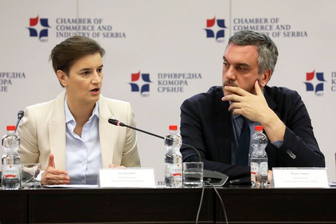 Ana Brnabić, Marko Čadež