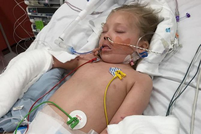 Brogan Reece Brogan Reece