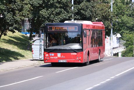 Autobus 59