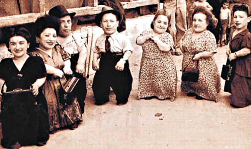 Patuljci porodica Ovic, Hitler, Jevreji, Aušvic, Ovitz family