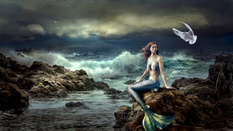 Sirena Sirena