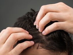 perut, kosa, češalj, češljanje, frizura