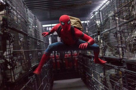 Film-Marvel Debate Film-Marvel Debate