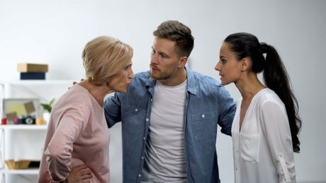 Snaja i svekrva, porodica Snaja i svekrva, porodica