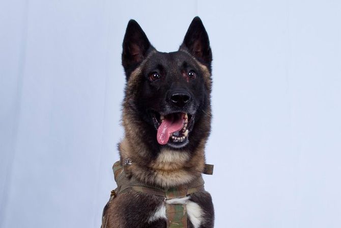 Pas Delta Force Pas Delta Force