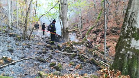 Pozar Stara Planina Pozar Stara Planina