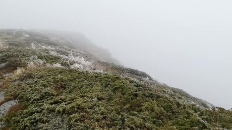 Stara planina Stara planina
