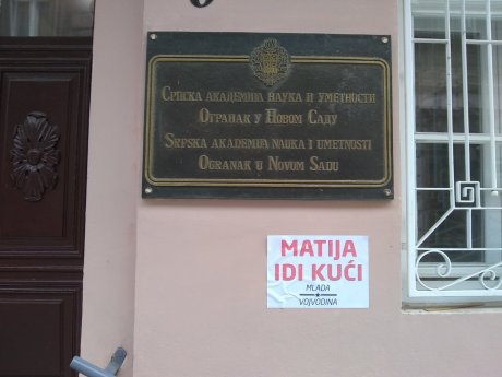 Matija Bećković, Mlada Vojvodina