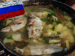 moskovska riblja čorba