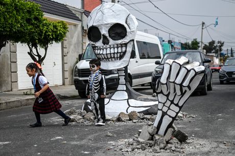 Skelet u Meksiku