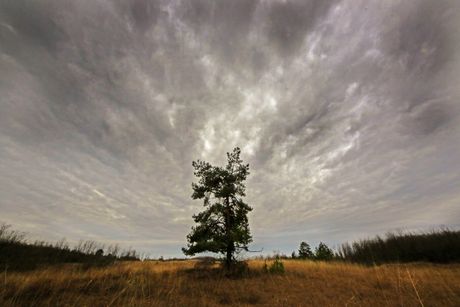 Deliblatska peščara