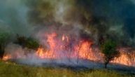 Borba sa vatrom na Suvoj planini: Avioni gase nepristupačna žarišta, kuće za sada nisu ugrožene