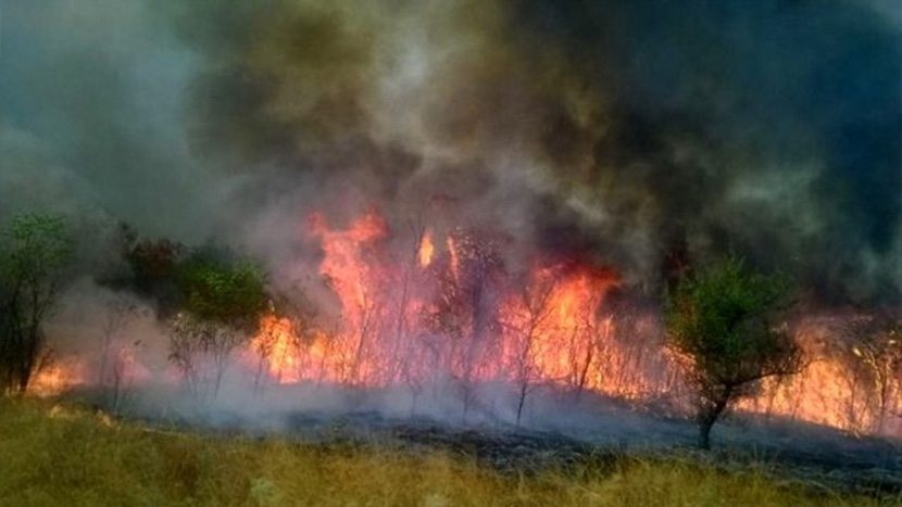 Borba sa požarom na Suvoj planini se nastavlja: Gašenje otežavaju užareno kamenje i suvo drveće