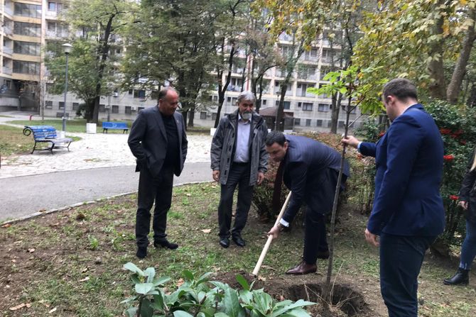 Ministar Mladen Sarcevic posetio Studetntski grad i simbolicno zasadio prvo drvo od 300