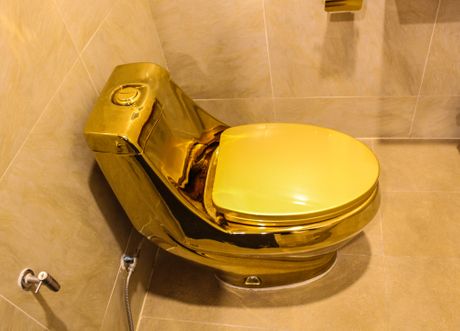 Zlatna wc solja