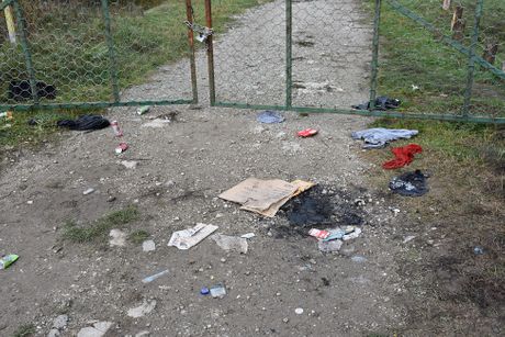 Migranti Apatin Migranti Apatin
