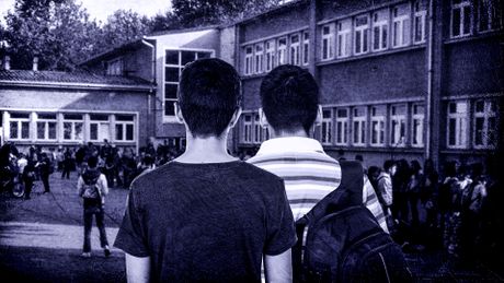 Osnovna Škola Stevan Sremac u Borči, nasilje, dečaci